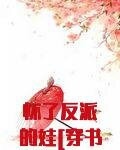 怀了反派的娃[穿书]