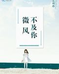 微风不及你