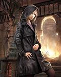 HP：我是一只猫？