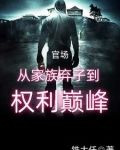 官场：从家族弃子到权利巅峰